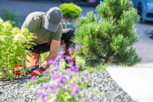 hardscape contractor Harwood MD