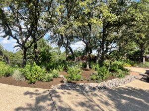 landscaping services austin texas