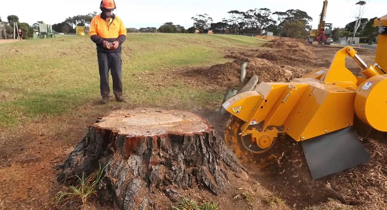 Tree Stump Removal and Stump Grinding