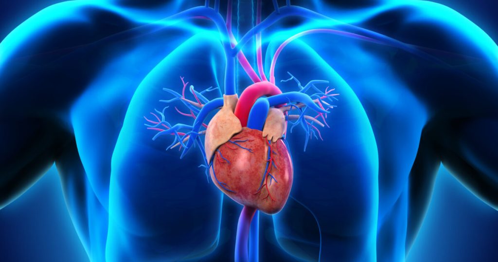 Best Echocardiogram in Dubai for Accurate Heart Diagnosis