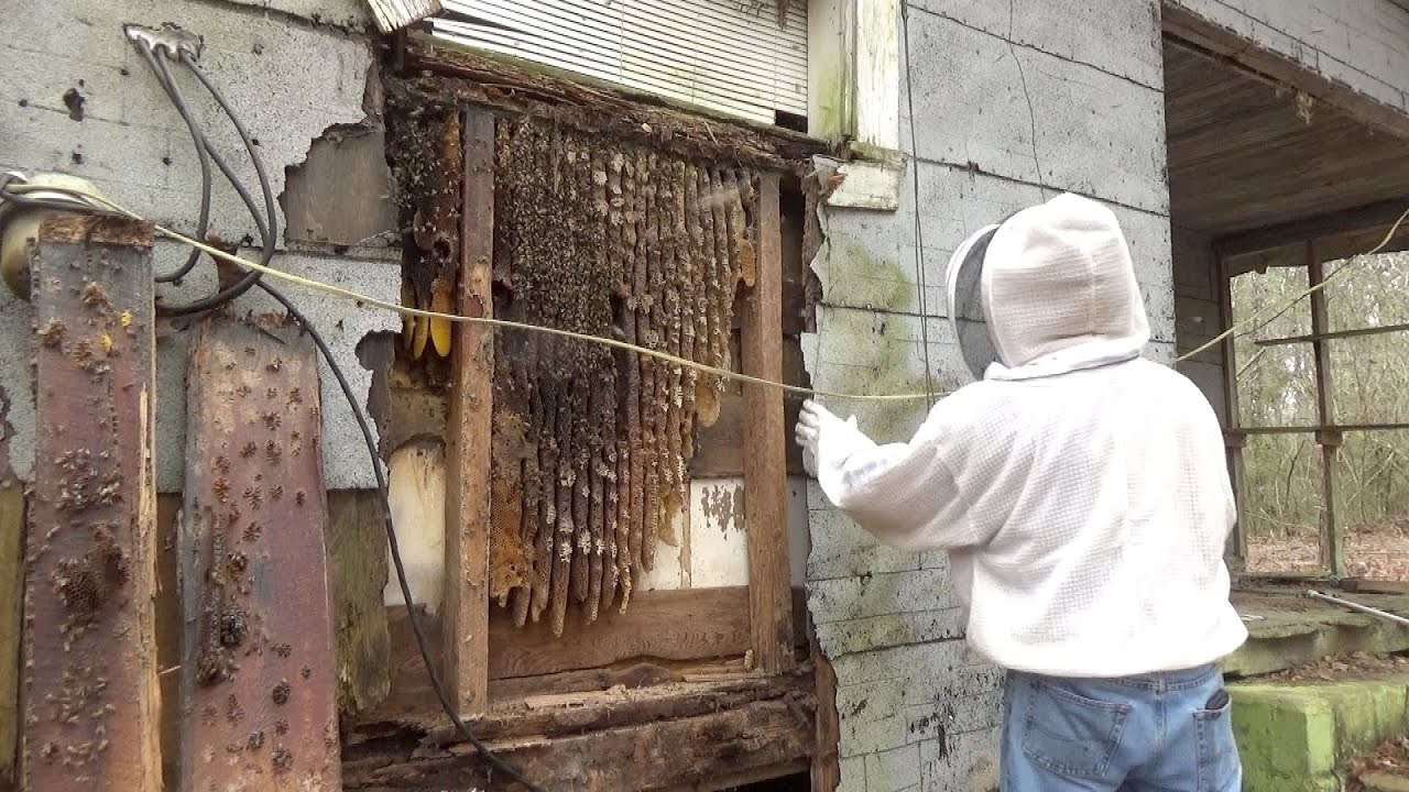 Preventing Bee Nests in Fence Posts and Wooden Gates