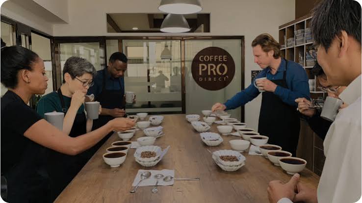 Professional Coffee Roasting Setup for Success