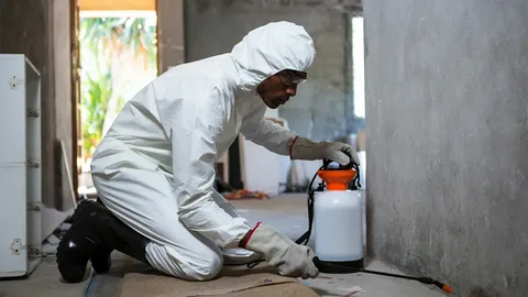 fumigation spray service in lahore.