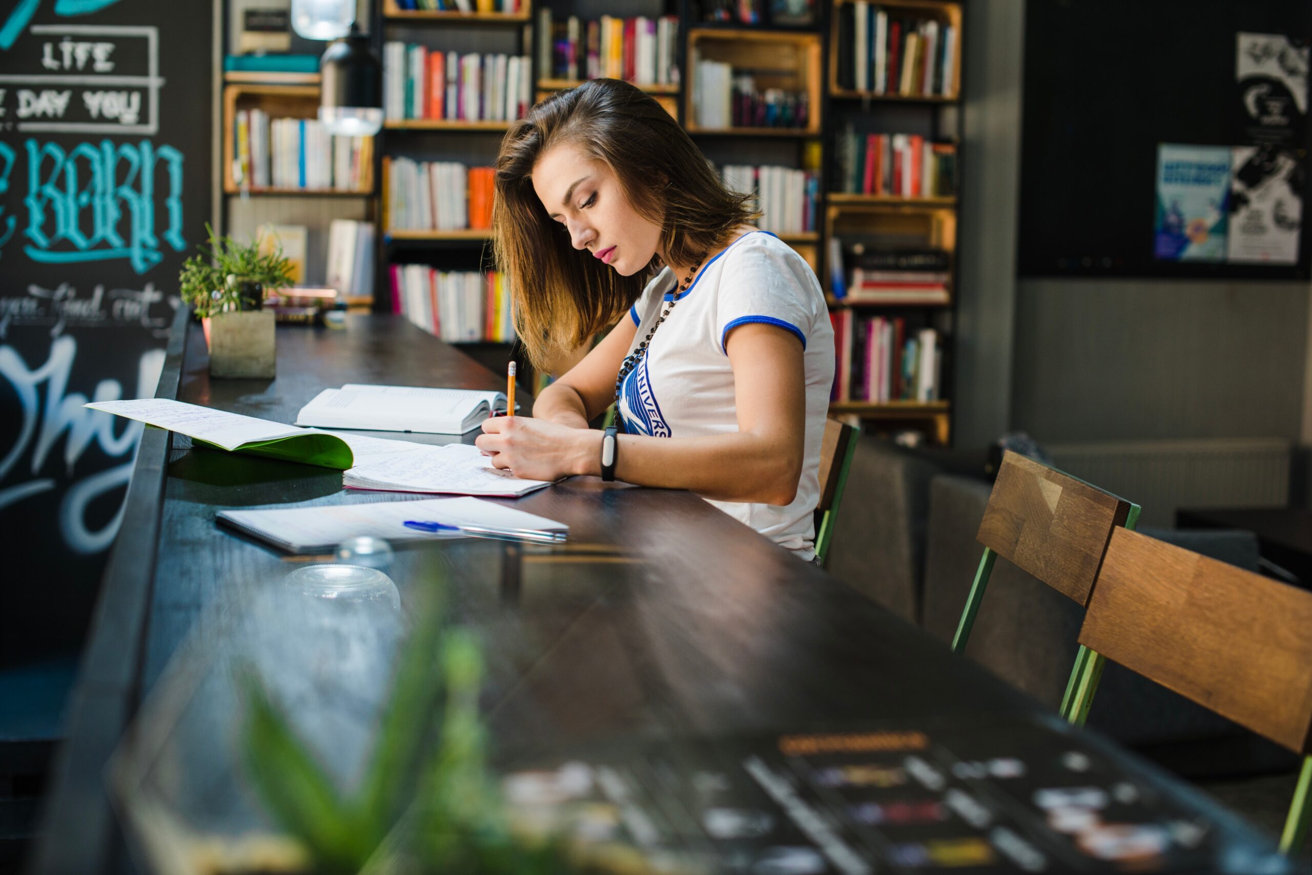 Online Assignment Expert