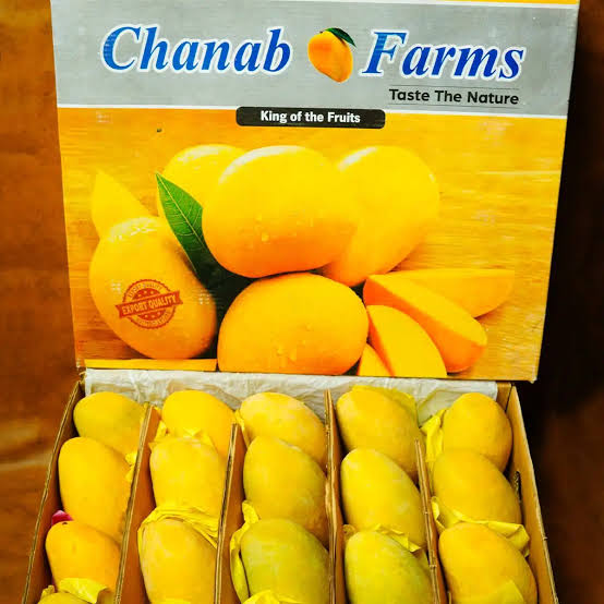 Buy Export Quality Chaunsa Mango