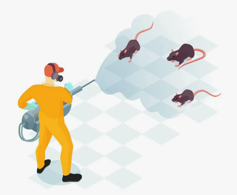 Rat Killer in Pakistan