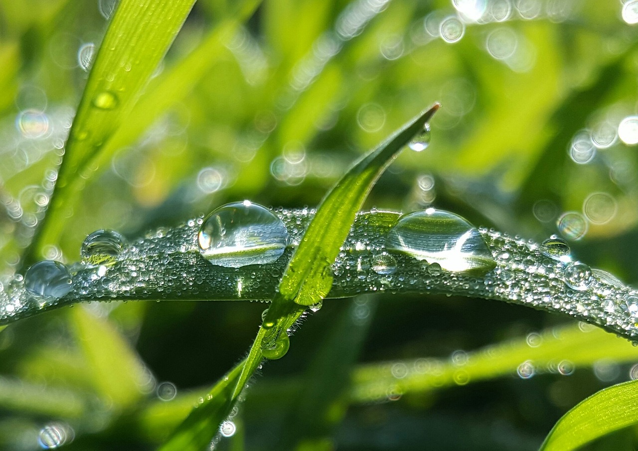 dew point calculator