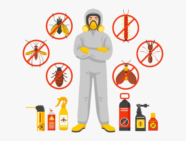 Pest Control Treatment in Lahore