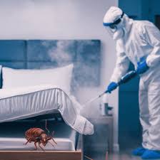 Bed Bug Spray in Lahore