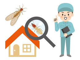 Termite Control Treatment Services Near Me