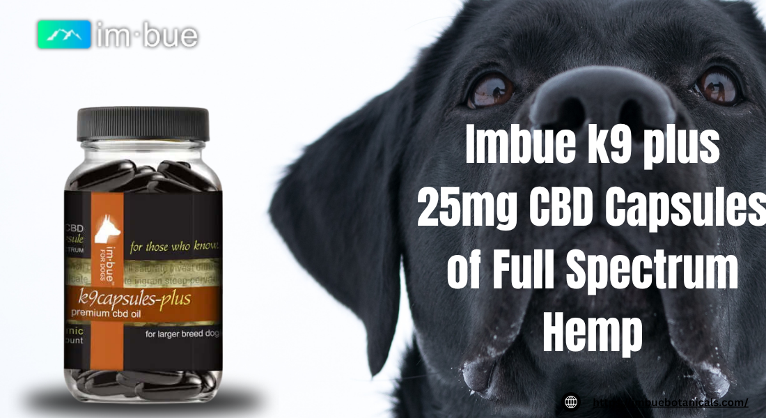 CBD Capsules for Dogs