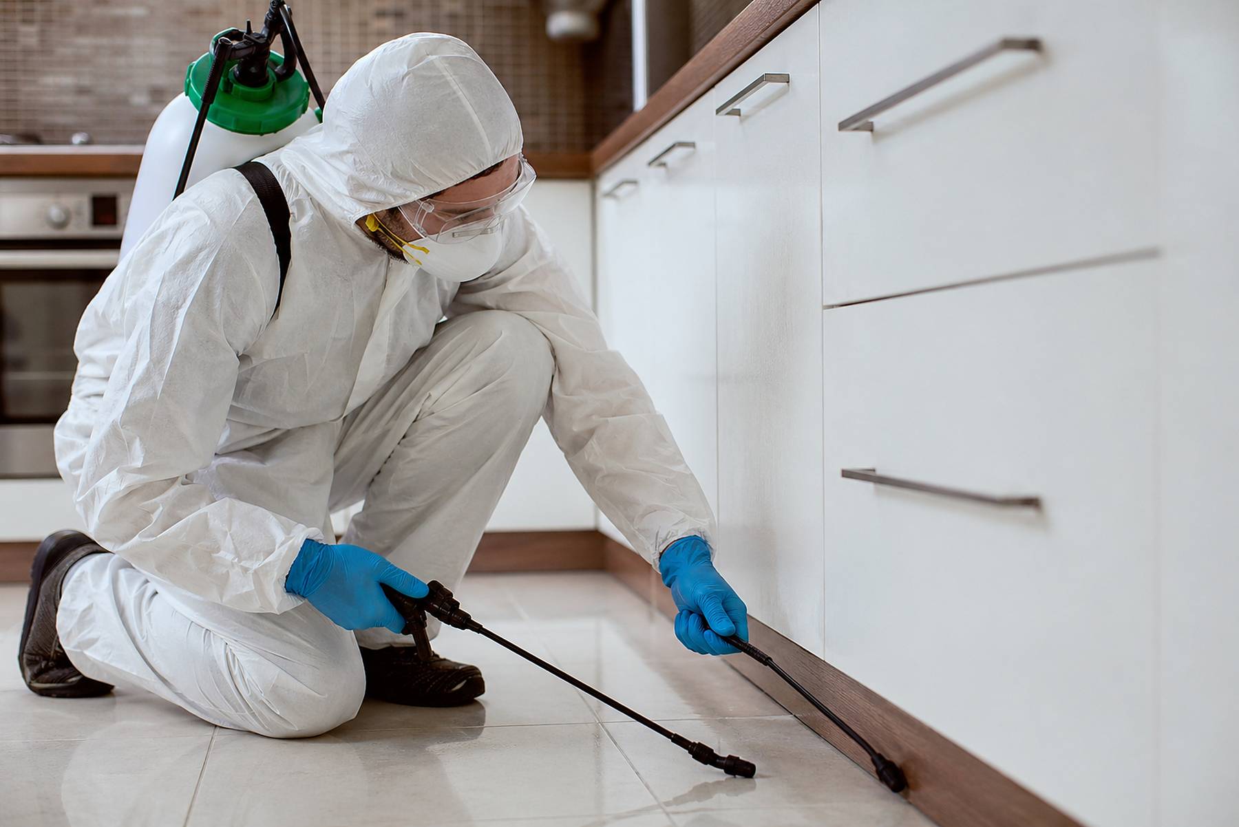 best spider control service Canada