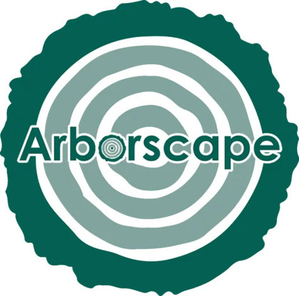 Tree Surgeons Ambleside