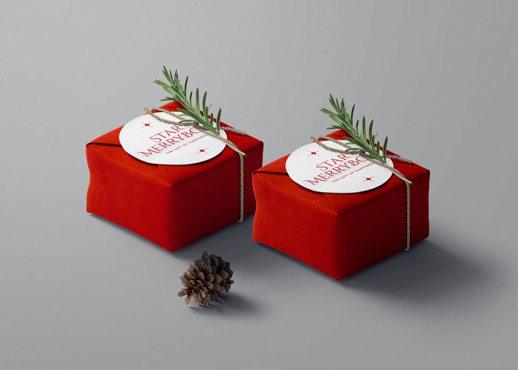 Christmas Boxes Packaging With Logo