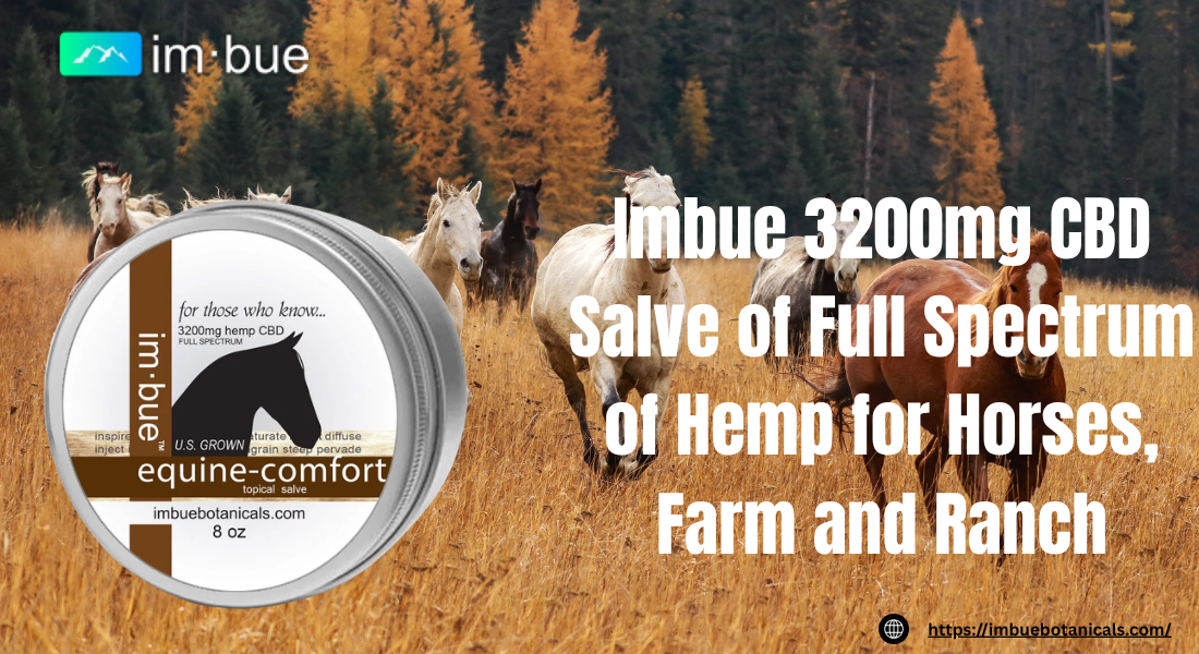 3200mg CBD Salve for Horses
